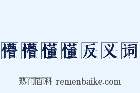 懵懵懂懂反义词是什么意思的图片